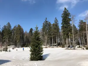 Aktivzentrum Bodenmais