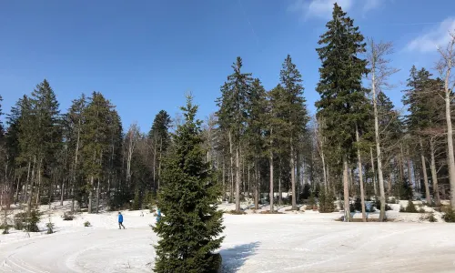 Aktivzentrum Bodenmais