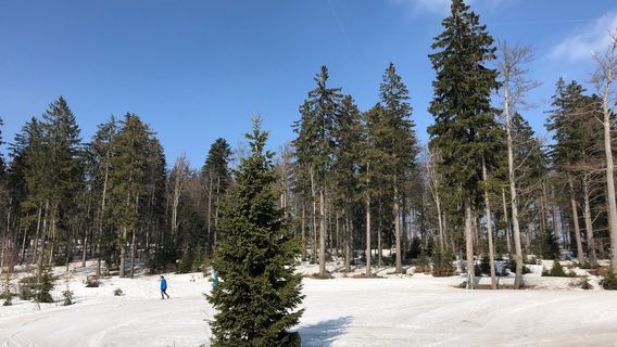 Aktivzentrum Bodenmais