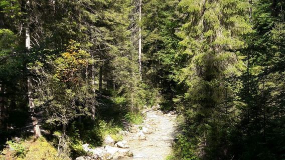 Wasserfall Erlebnisweg Ehrwald
