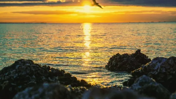 Ben T Davis Beach