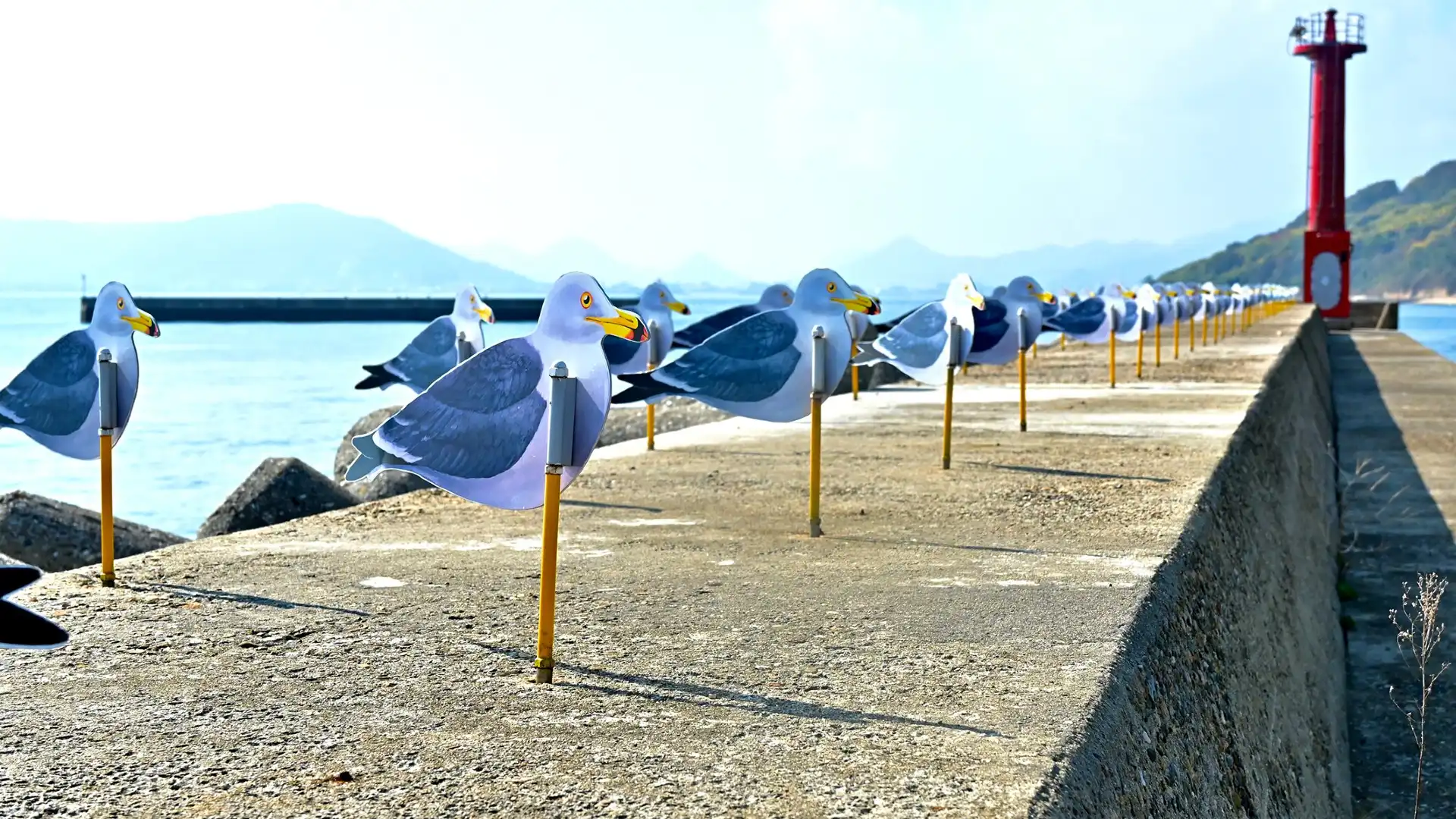 Hotels near Gull of Parking
