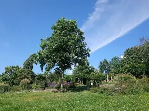 Strecktal Park