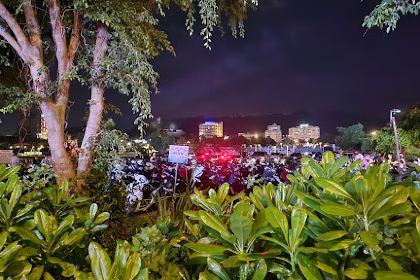 Valley Beach Club - beach