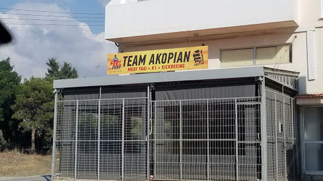 Team Akopian