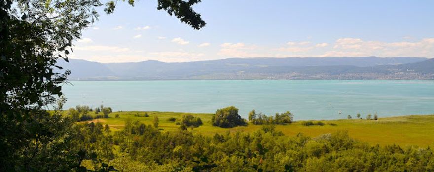 Panorama sur la grande Cariçaie