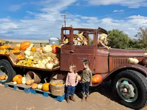 Wemple's Pumpkin Patch