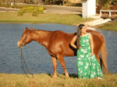 Parque de Exposições Agropecuária de Ipameri