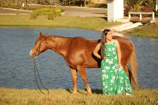 Parque de Exposições Agropecuária de Ipameri