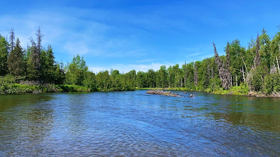 FishHound Expeditions