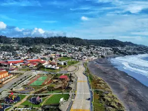 Parque Costanera Pelluhue