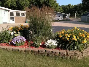 Meadow Lake Campsite