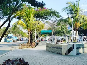 ALAMEDA BOLOGNESI
