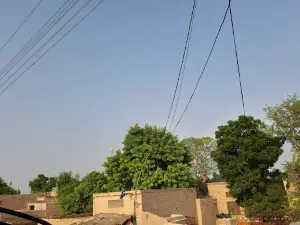 Jamia Masjid Giria Abad Akkanwali