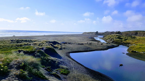 Muriwai