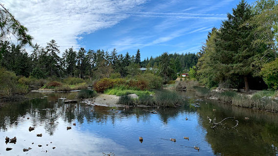 Сешелт Марш