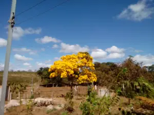 Rio Pardo