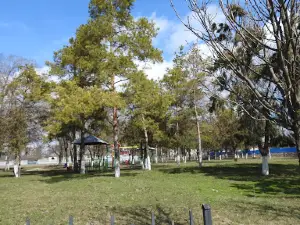 Parc Prepelița