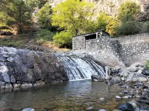 Genç İş Adamları Derneği Hatıra Ormanı