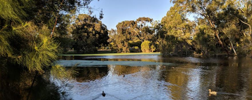 Neil McDougall Park