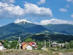 Bunker Liniyi Arpada