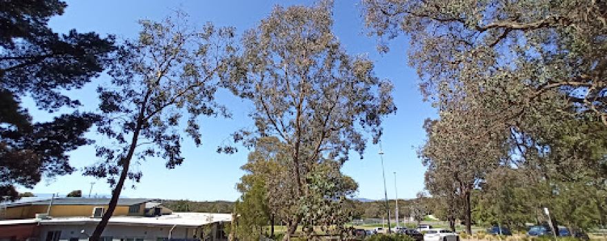 Domeney Reserve