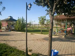 Mesire Alanı