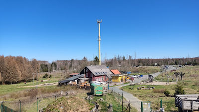 Wildkatzengehege Bad Harzburg