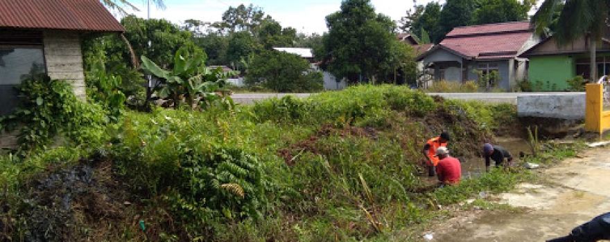 Lapangan Sepak Bola PSP Sepandan (Dusun Sepandan)