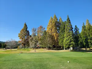 JOYX Golf Club Kozuki course