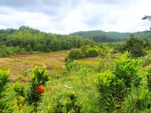 Taman Wisata Dinosaurus