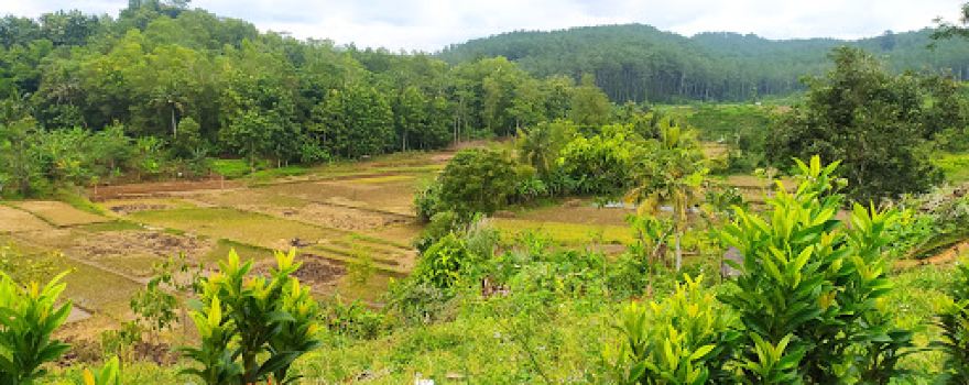 Taman Wisata Dinosaurus