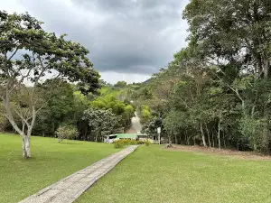 Alto de las Piedras