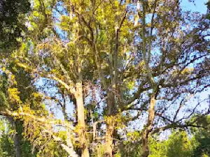 Auburn Recreation Area