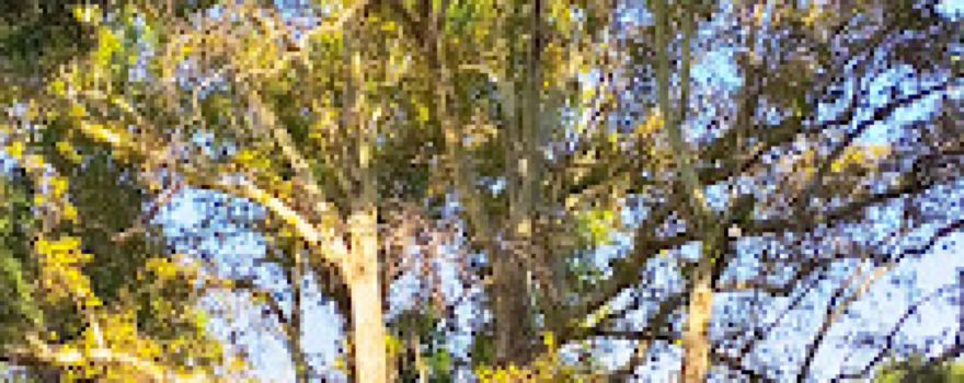 Auburn Recreation Area