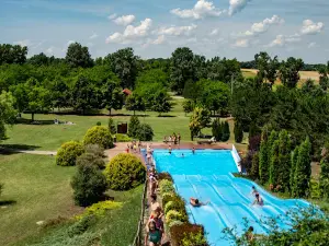 Wf Szabadidő Park Kft.