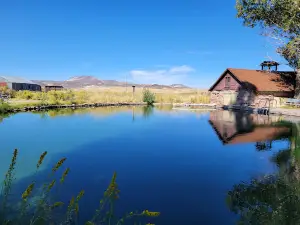 Virgin Valley Campground