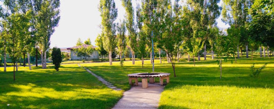 Park