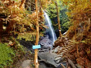 Niagara Waisia