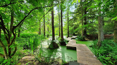 Botanic Garden