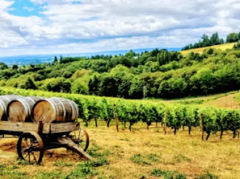 Willamette Valley Tour