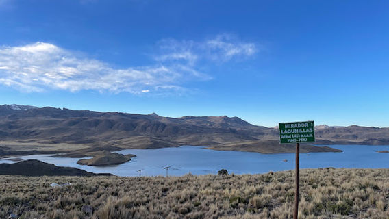 NATIVA EXPRESS - Bus turistico a Puno