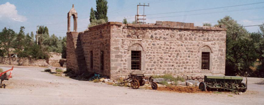 Cami