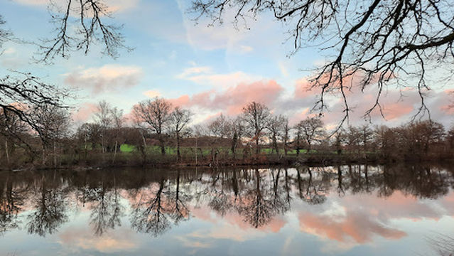 Étang de la Grande Gazine