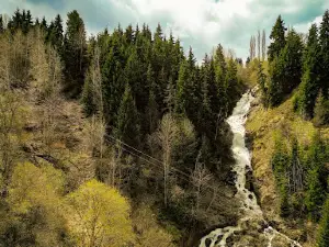 Şavşat Stream