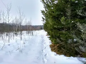 Small Polissia National Park