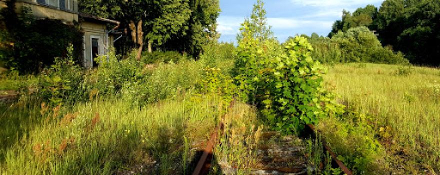 Luse Railway Station