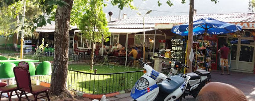 Küçük Çam Parkı