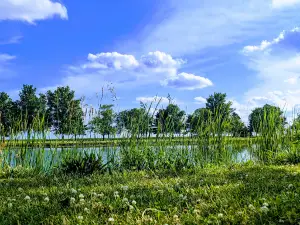 Wimple Park