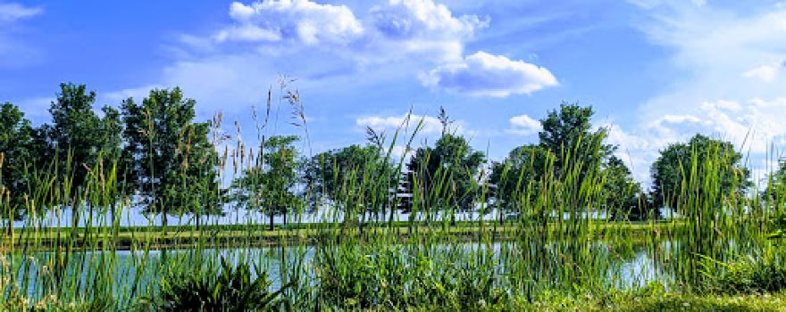 Wimple Park